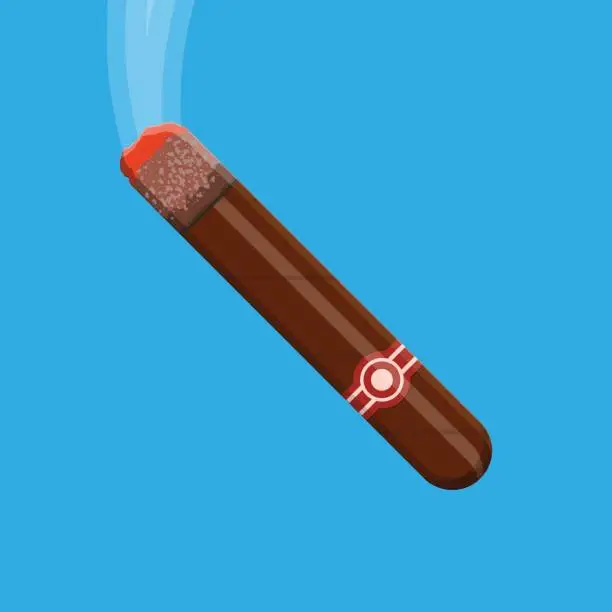 Vector illustration of Smoking cigar. Brown Cuba cigar with label.