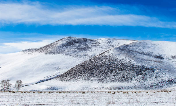 istock Winter ranch, grazing livestock 838786056