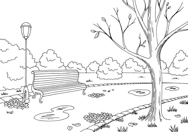 осенний парк графический черный белый пейзаж эскиз иллюстрации вектор - scenics pedestrian walkway footpath bench stock illustrations