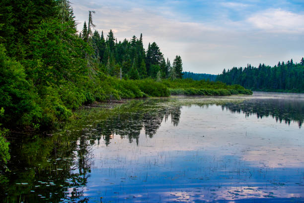 istock Mauricie national park 838788946