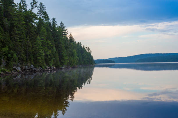 Mauricie national park in summer