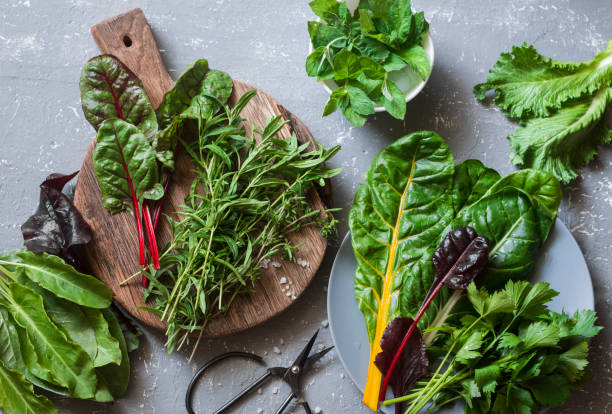 istock Fresh garden herbs - tarragon, chard, mint, celery, spinach, thyme on a gray background, top view. Flat lay 838794520