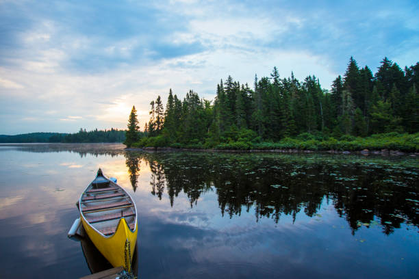 istock Mauricie national park 838795162