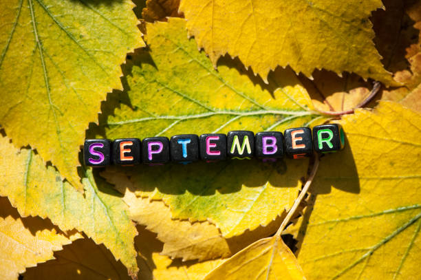 Word  September posted on yellow foliage. Background, autumn theme