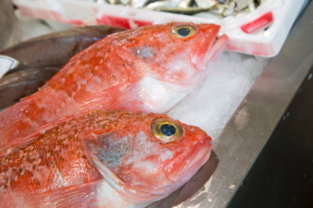 istock Red Rock Fish on Market Stall, Santiago de Compostela 838802504