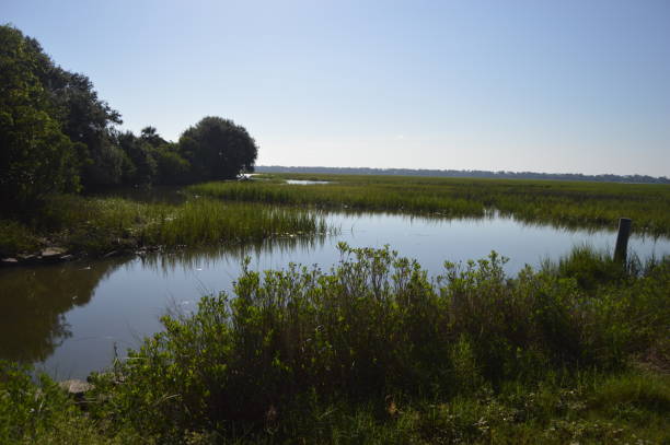 st. simons island, ga village creek landing - dorothy photos et images de collection