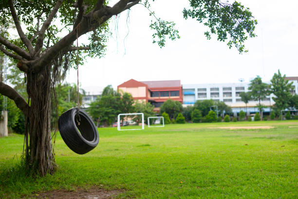 istock Hanging rubber tire under a tree and blurry soccer field in background. 838811488