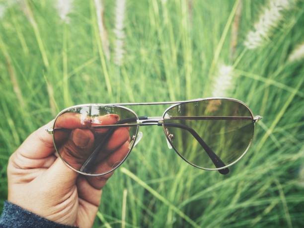 istock Sun glasses on hand with grass flowers 838814340
