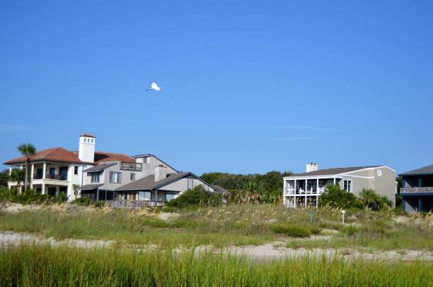 istock St. Simons Island, GA Gould's Inlet 838814576