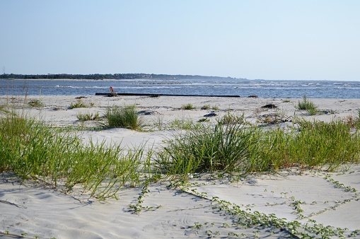 St. Simon's Island, GA Gould's Inlet Beach, sand dune