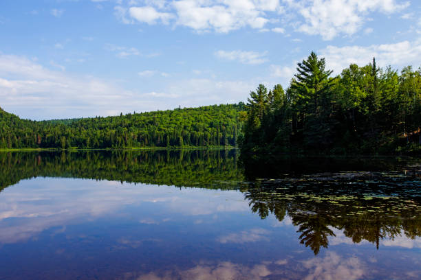 istock Mauricie national park 838825680