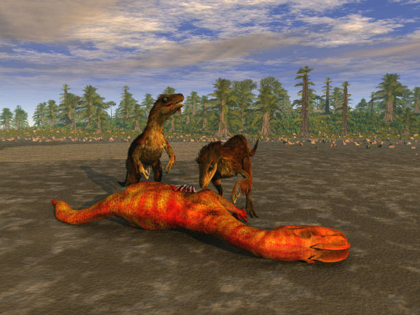 Velociraptors eating a prey stock photo