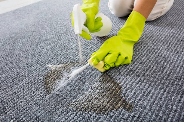 istock Close-up Of Person Hand Spraying Detergent On Carpet 838851982
