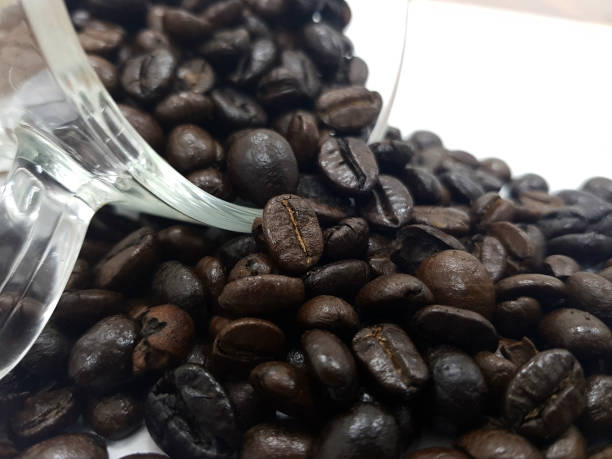 Coffee beans on white background