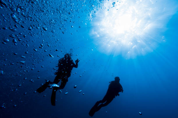istock Two scuba divers on Fernando de Noronha against sunburst 838880516