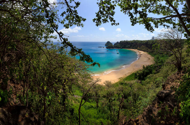 istock Sancho Bay in Fernando de Noronha 838880982
