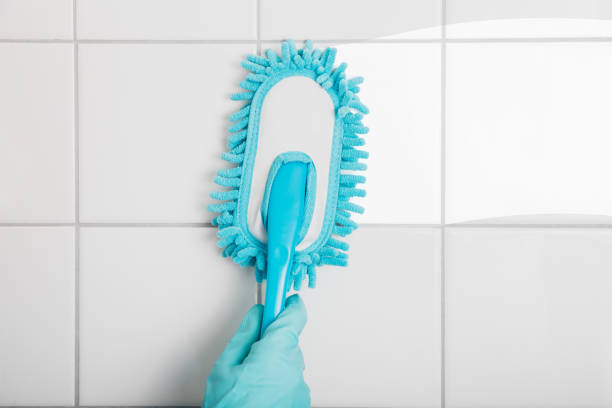 istock Person Wiping The Tiled Wall Using Brush 838882418