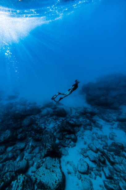 istock Man free diving in Fernando de Noronha 838883956