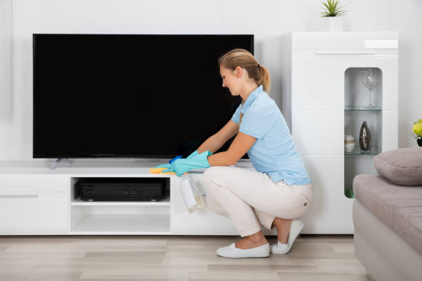 istock Woman Cleaning The House 838888700