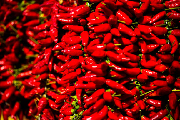 istock Chili as a background, red chili 838890948
