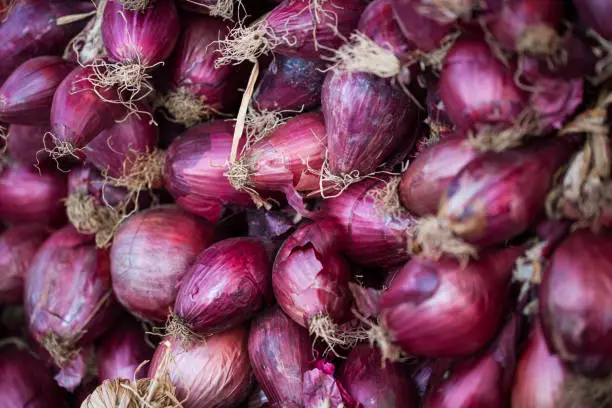 Red onions from Tropea