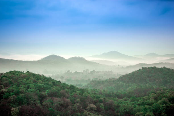 istock Fog and tree on the mountain landscape 838893602