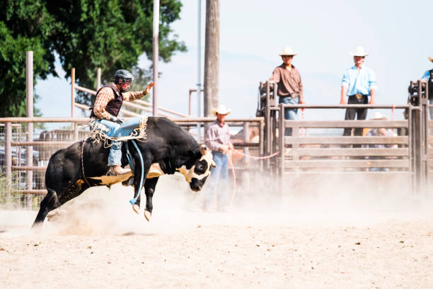 istock Bull Rider At A Small Town Rodeo 838894454