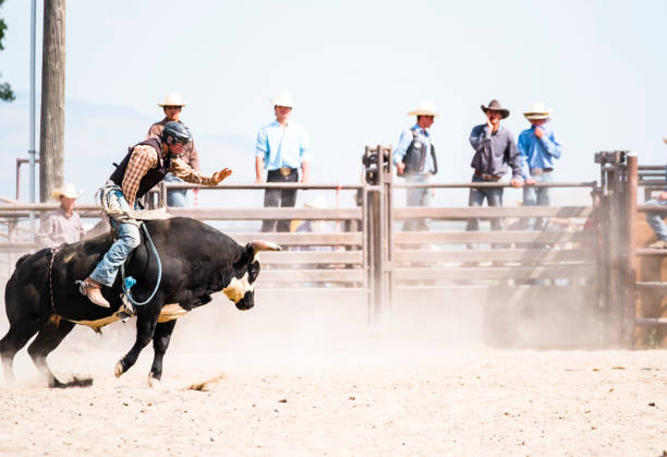 istock Bull Rider At A Small Town Rodeo 838894560