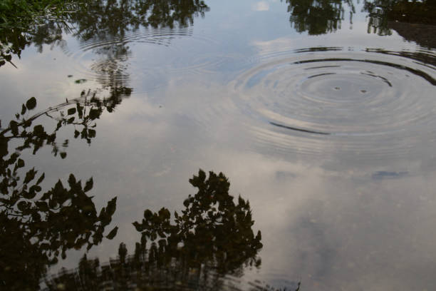 istock The Beauty After a Rainstorm 838894874