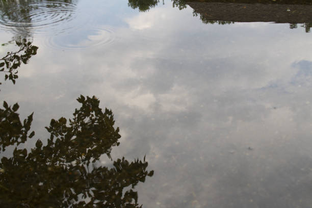 istock The Beauty After a Rainstorm 838894878