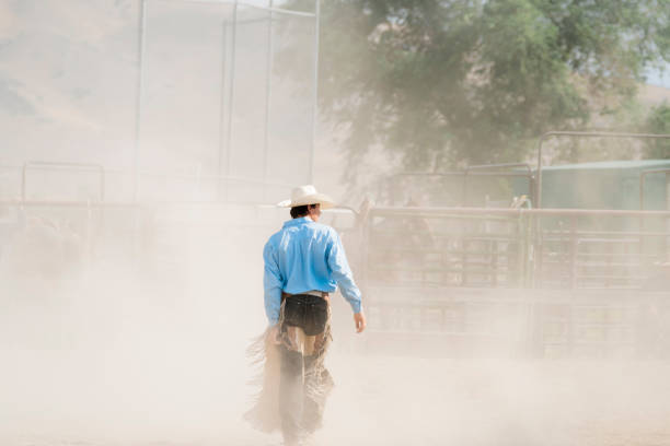 A cowboy throws a lasso at a cow