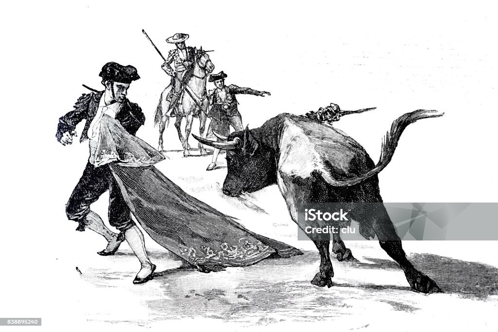 Torero fight: bull running against man holding red curtain Illustration from 19th century Bull - Animal stock illustration