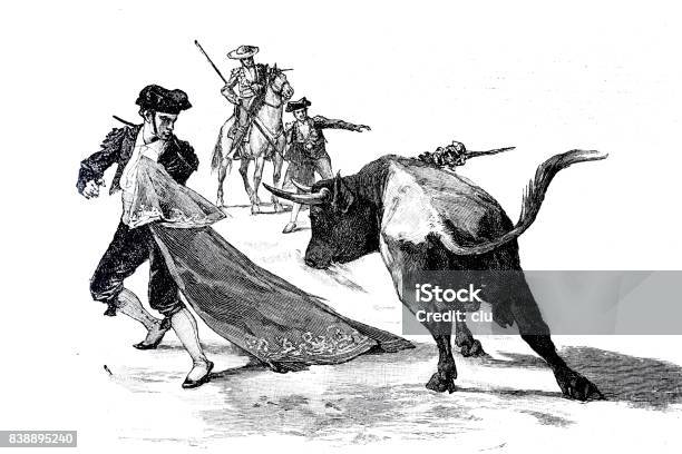 Torero Fight Bull Running Against Man Holding Red Curtain Stock Illustration - Download Image Now