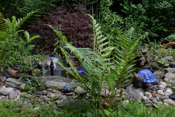 istock Well in a garden 838898110