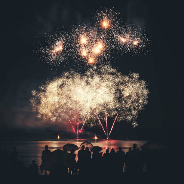 istock Beautiful large and colorful fireworks with unrecognizable crowd silhouettes people watching the show 838898976