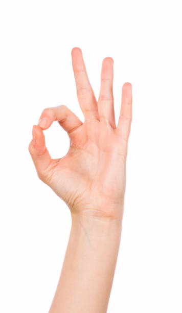 istock Woman hand in ok sign on white 838906056