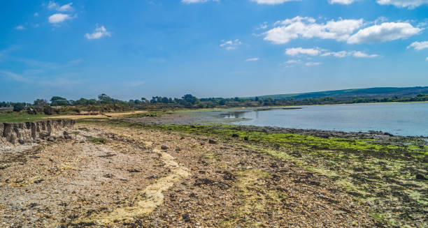 beautiful wetland bay w czasie odpływu - scenics coastline uk moss zdjęcia i obrazy z banku zdjęć