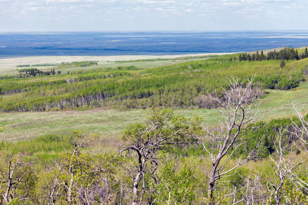 istock Grasslands National Park of Canada 838913426