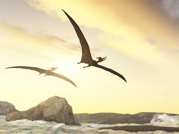 Two pteranodons flying over rocks in the sea stock photo