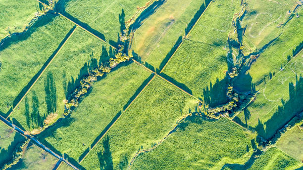 ニュー ・ プリマス近郊スロップ丘の上道路と家畜のパドックで、農地の空中写真。タラナキ地方、ニュージーランド - slops ストックフォトと画像