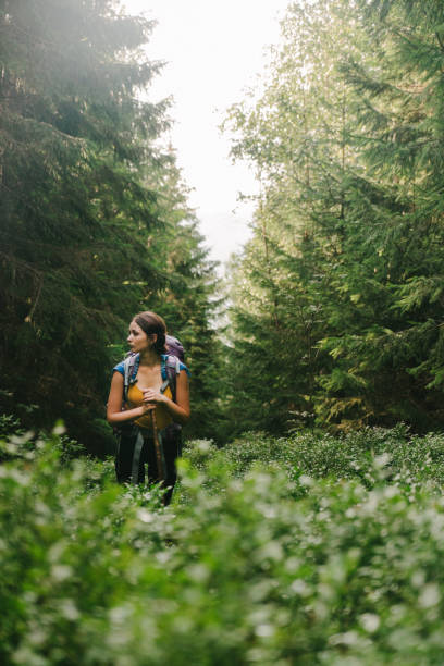 istock Woman with backpack hiking in mountains 838921124