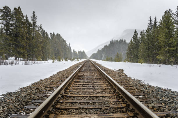 istock Railroad in a Mountain Landscape on a Snowing Winter Day 838923294