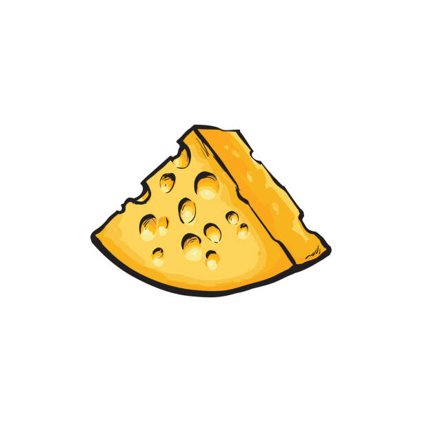 다공성 치즈의 만화 작품을 스케치 하는 벡터 - cheese swiss cheese portion vector stock illustrations