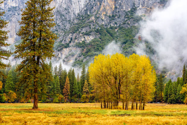 istock Yosemite Valley at cloudy autumn morning 838930690
