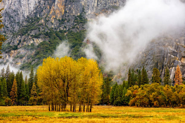 istock Yosemite Valley at cloudy autumn morning 838930702