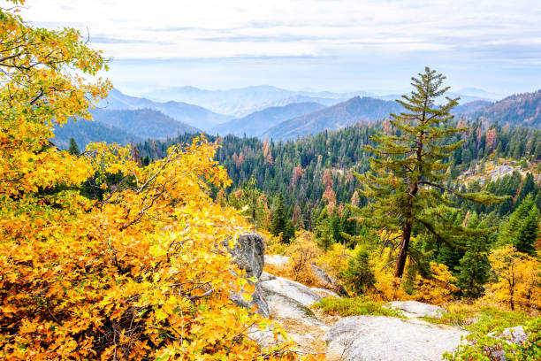 istock Sequoia National Park mountain landscape at autumn 838930862