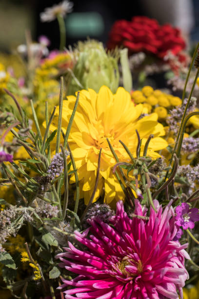 istock handmade  beautiful bouquets from flowers and herbs 838931006