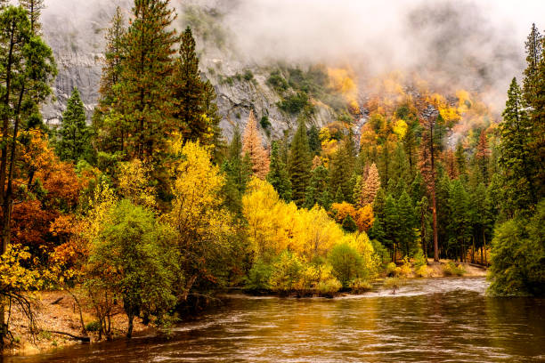 istock Yosemite National Park Valley and Merced River at autumn 838931148