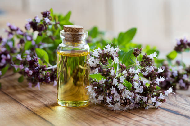 istock A bottle of oregano essential oil 838944682