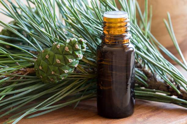 istock A bottle of pine essential oil 838945500